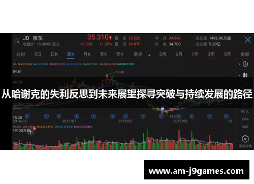 从哈谢克的失利反思到未来展望探寻突破与持续发展的路径 从哈谢克的失利反思到未来展望探寻突破与持续发展的路径
