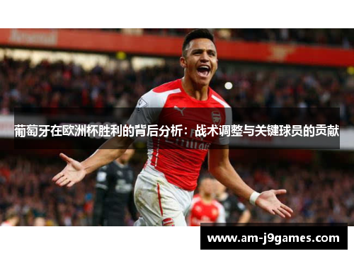 葡萄牙在欧洲杯胜利的背后分析：战术调整与关键球员的贡献