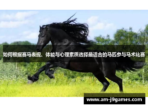 如何根据赛马表现、体能与心理素质选择最适合的马匹参与马术比赛
