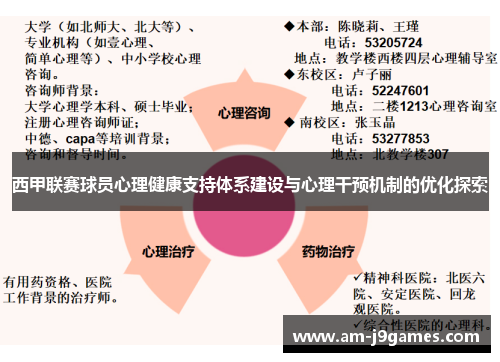 西甲联赛球员心理健康支持体系建设与心理干预机制的优化探索