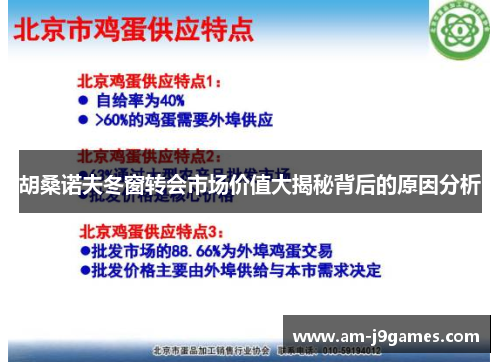 胡桑诺夫冬窗转会市场价值大揭秘背后的原因分析